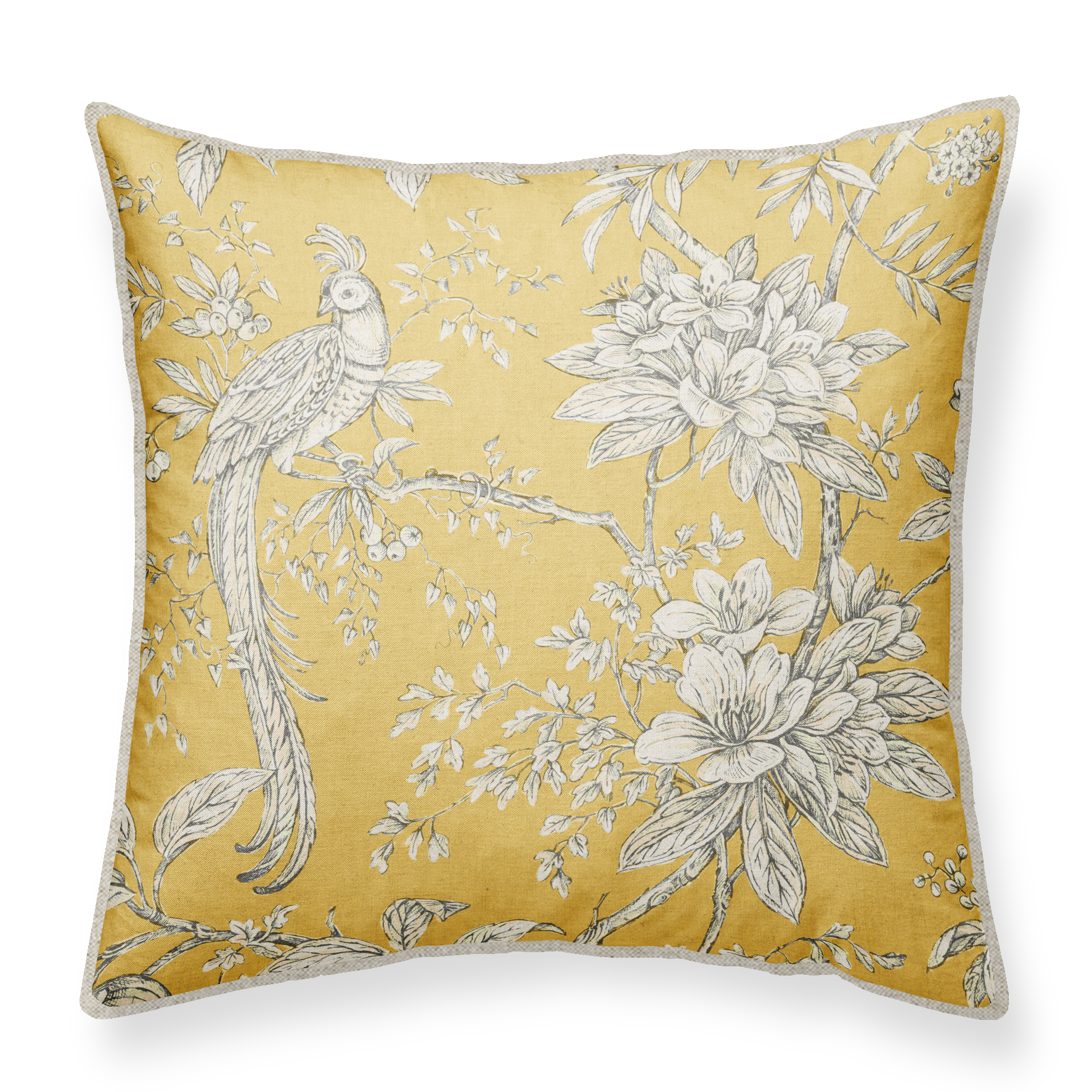 pheasant warm yellow