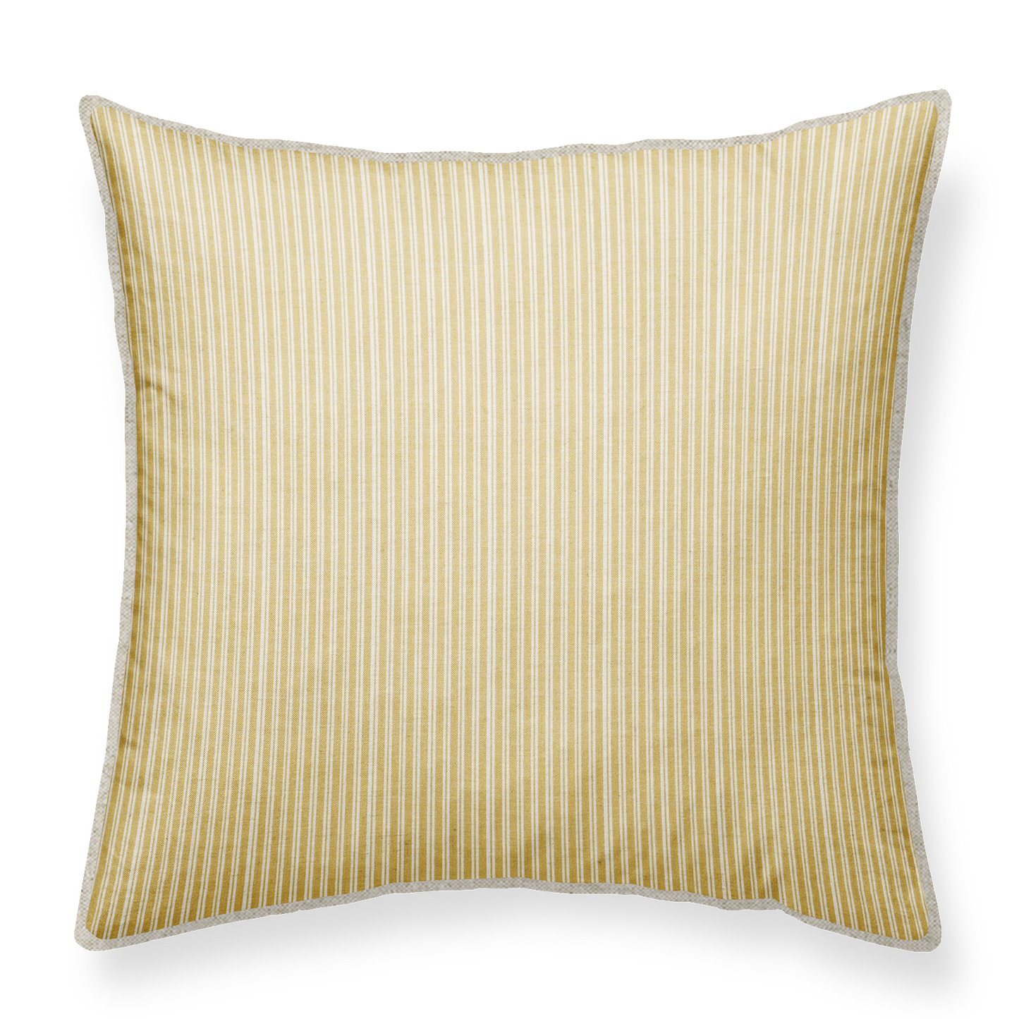 Pheasant Warm Yellow